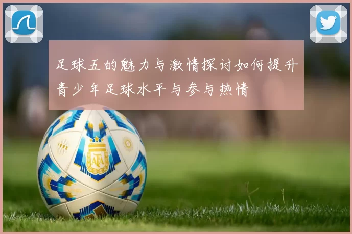 足球五的魅力与激情探讨如何提升青少年足球水平与参与热情