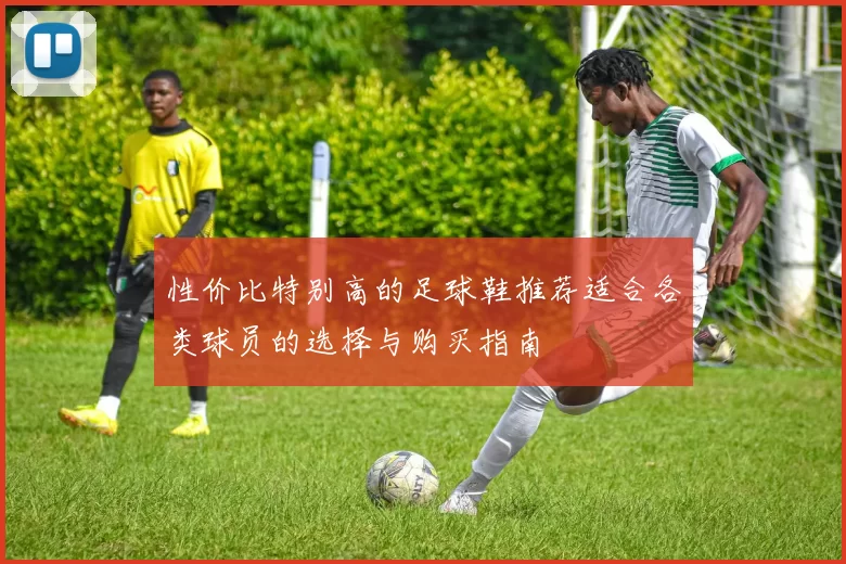 性价比特别高的足球鞋推荐适合各类球员的选择与购买指南