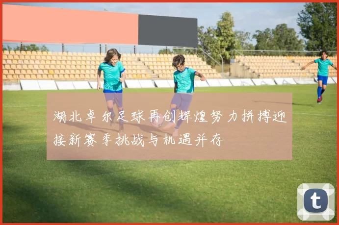 湖北卓尔足球再创辉煌努力拼搏迎接新赛季挑战与机遇并存