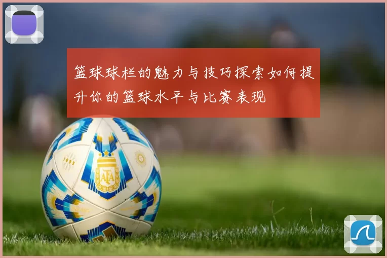 篮球球栏的魅力与技巧探索如何提升你的篮球水平与比赛表现