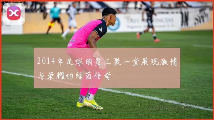 2014年足球明星汇聚一堂展现激情与荣耀的绿茵传奇