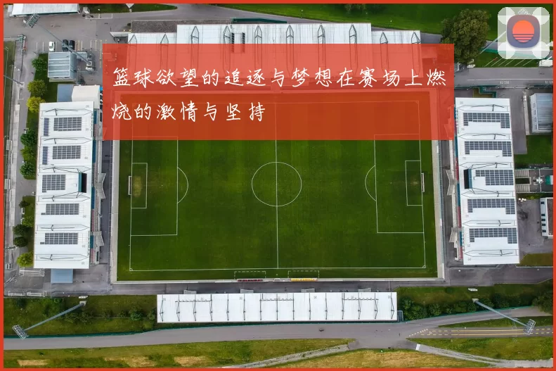 篮球欲望的追逐与梦想在赛场上燃烧的激情与坚持