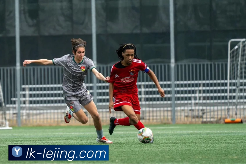 App Interface Preview